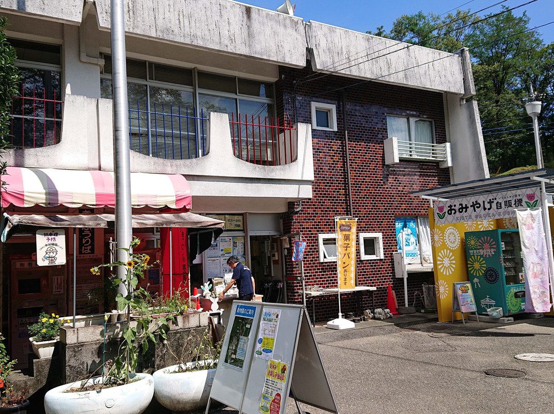 Kiryugaoka Amusement Park-桐生市必去景点
