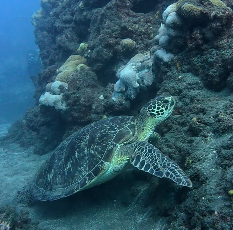 Bleu Marine Reunion-圣吉尔莱班必去景点