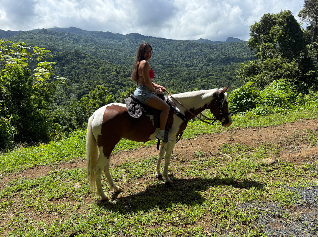 La Vista Rides-Rio Grande必去景点