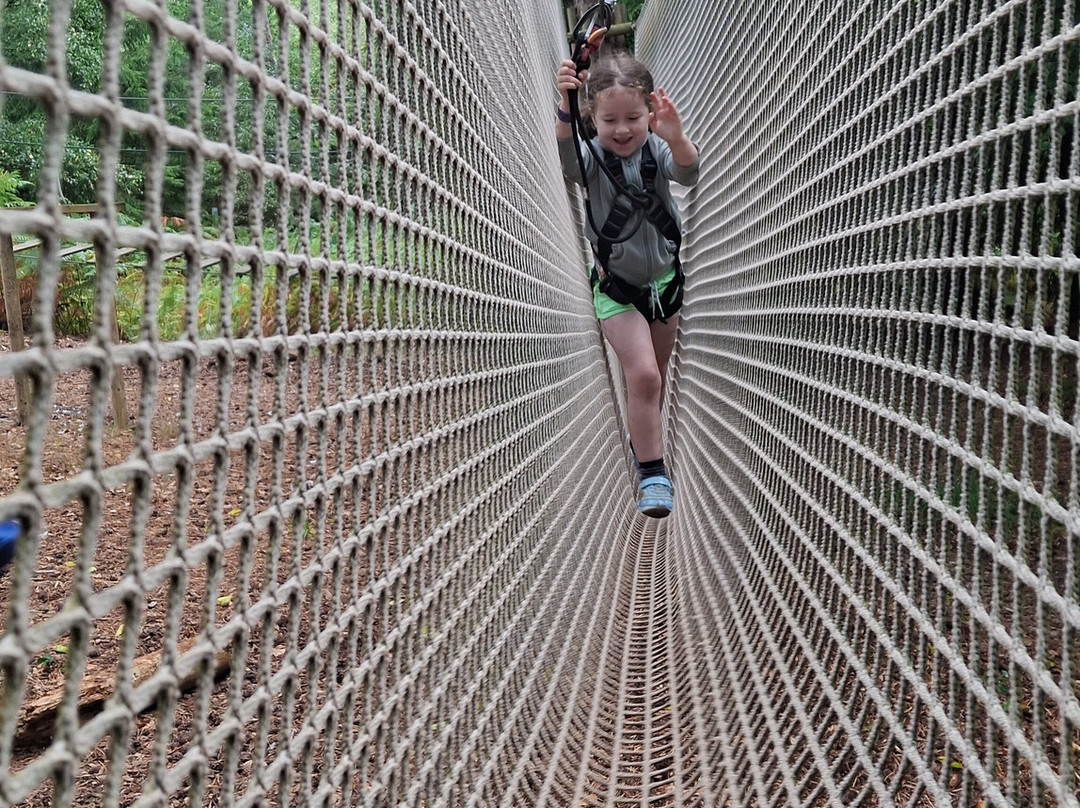 Go Ape Haldon Forest Park-埃克塞特必去景点