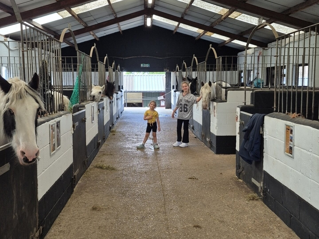 HAPPA - Shores Hey Farm-伯恩利必去景点