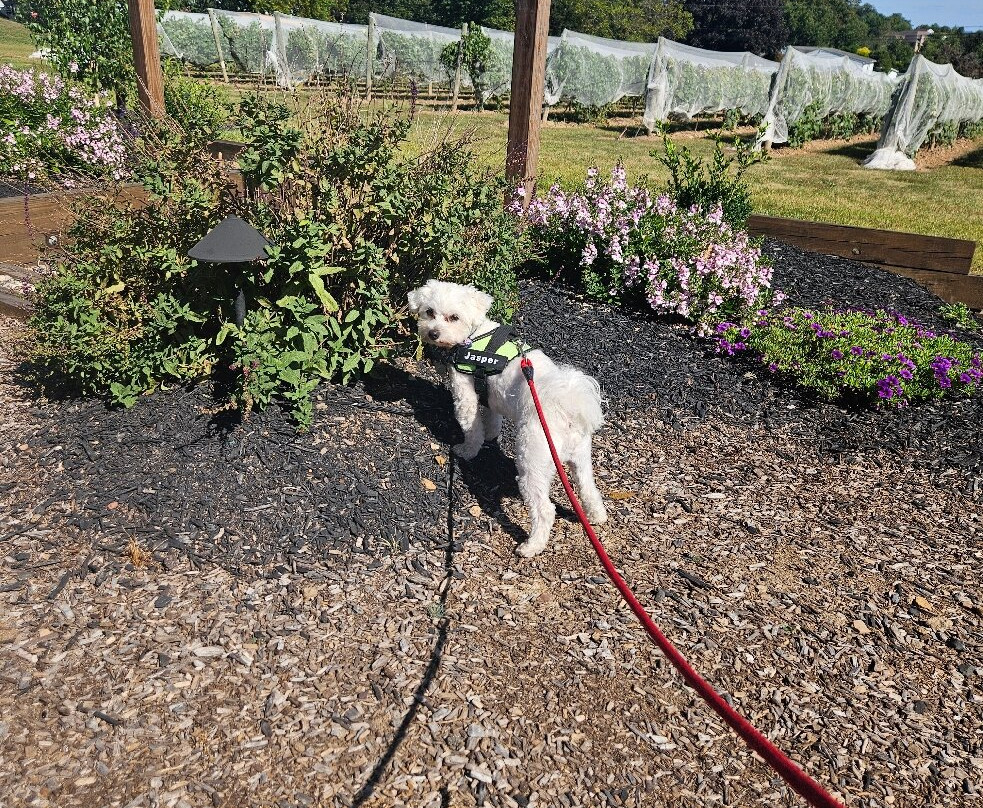 Knox Vineyards-Chalfont必去景点