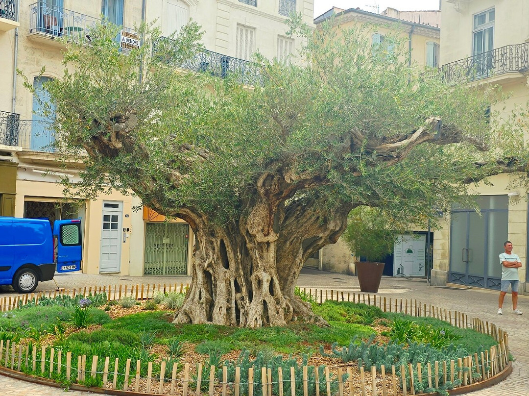 Office de Tourisme Beziers Mediterranee-贝济耶必去景点