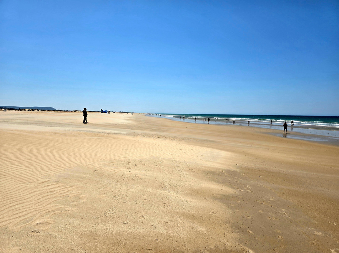 Playa de Castilnovo-Conil de la Frontera必去景点