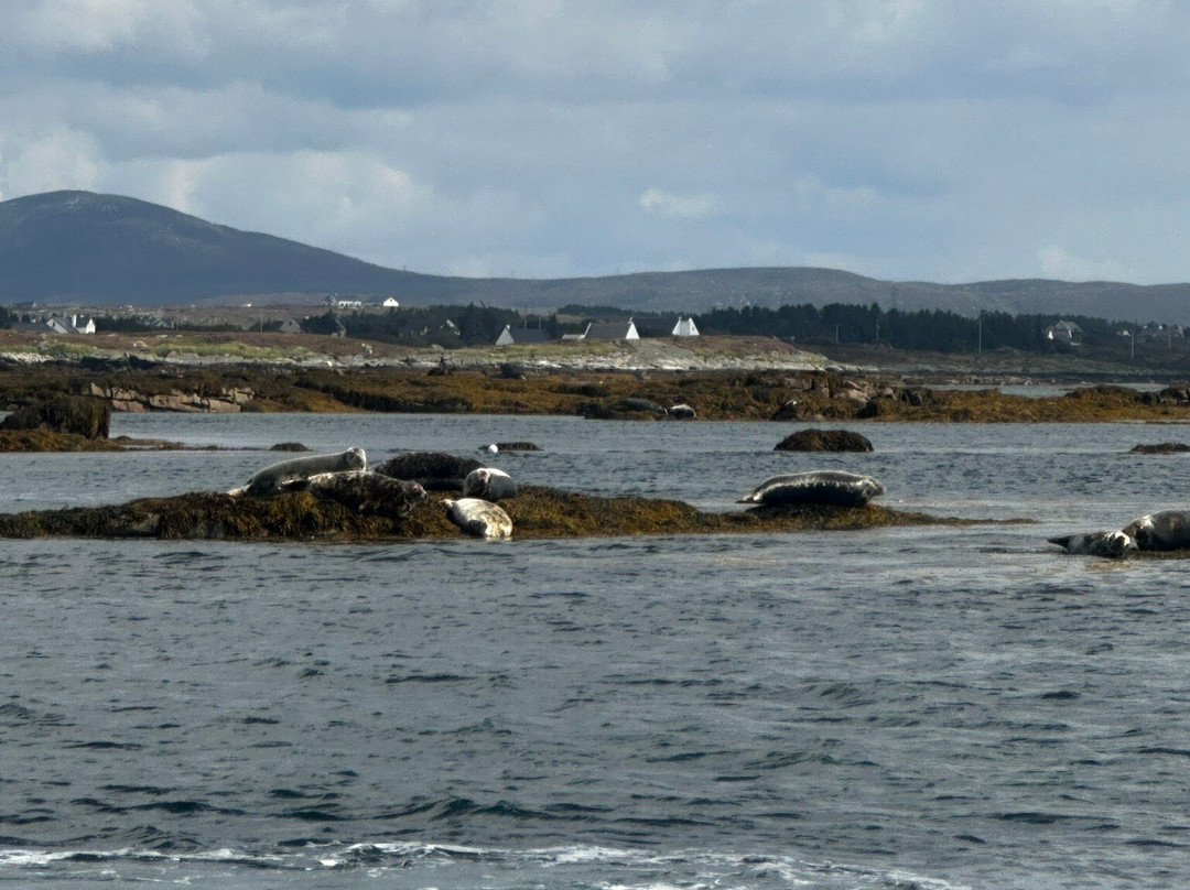 Donegal Sea Adventure-Burtonport必去景点