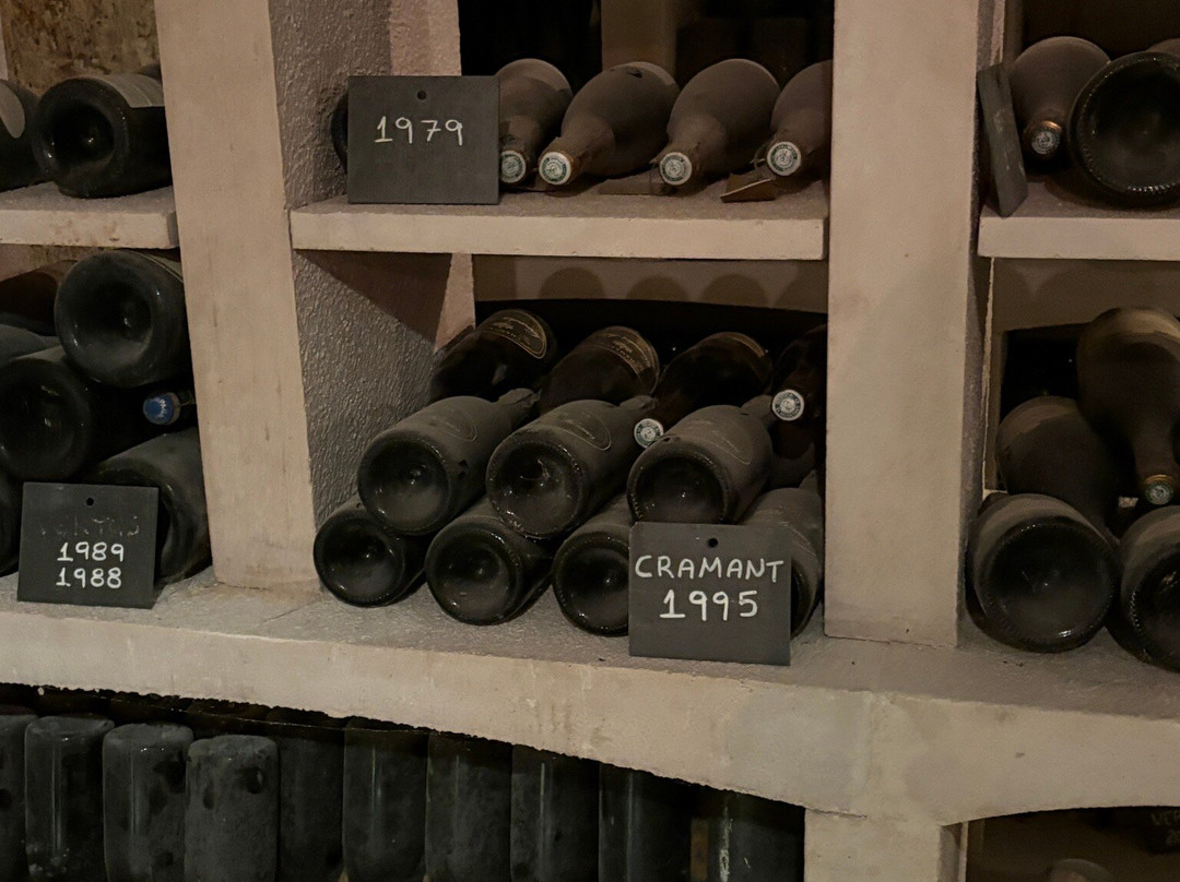 Champagne Larmandier-bernier-Blancs-Coteaux必去景点