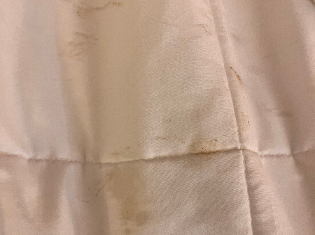 Surestay Plus By Best Western Bettendorf主图