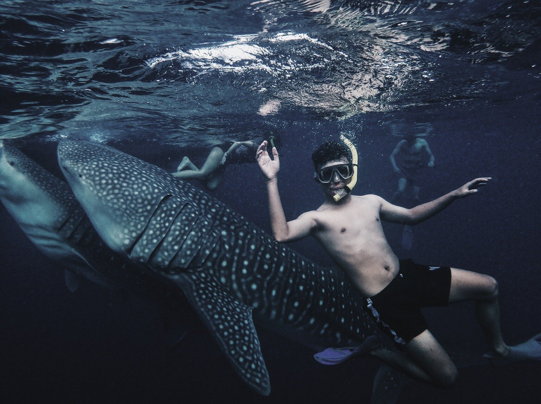 Sumbawa Adventour-Sumbawa Besar必去景点