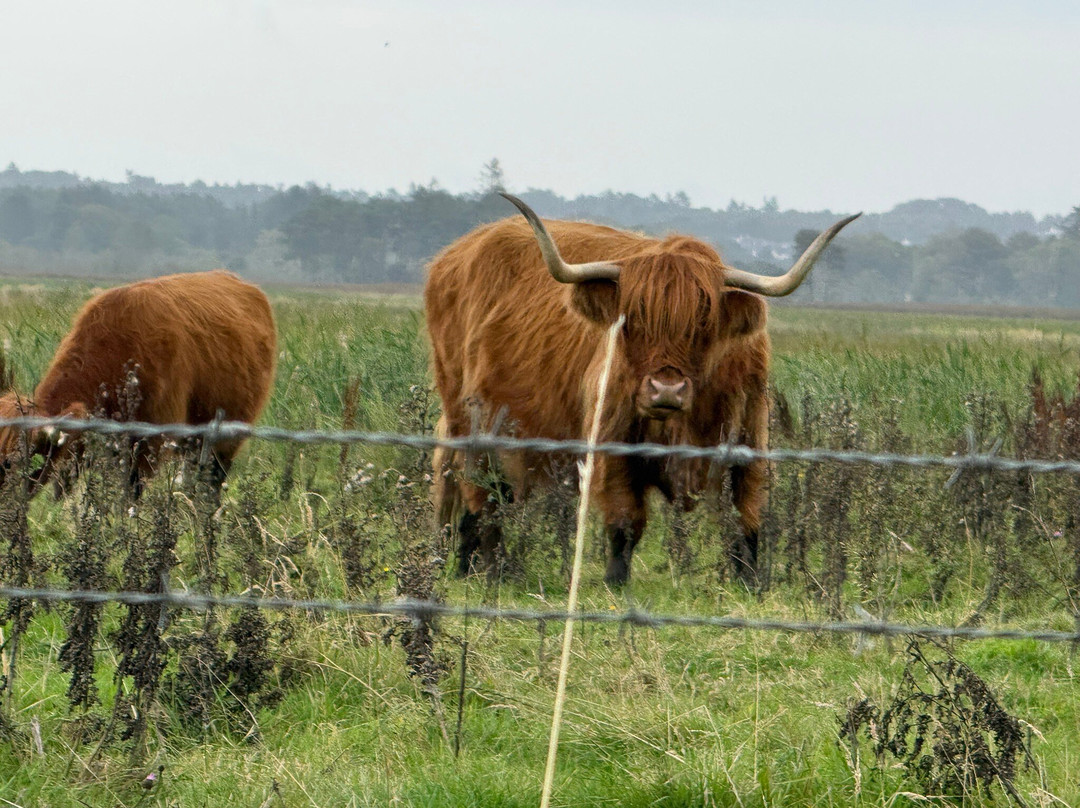 Purgavie Farm主图
