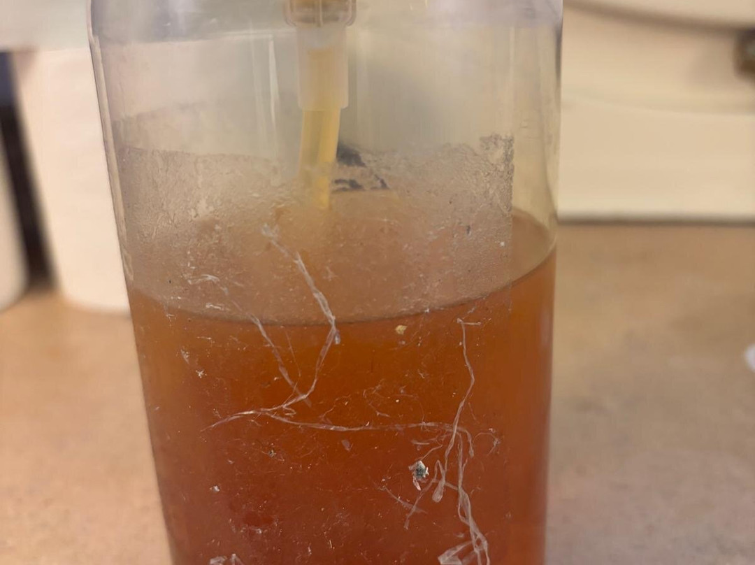 Palazzo Romani Adami主图