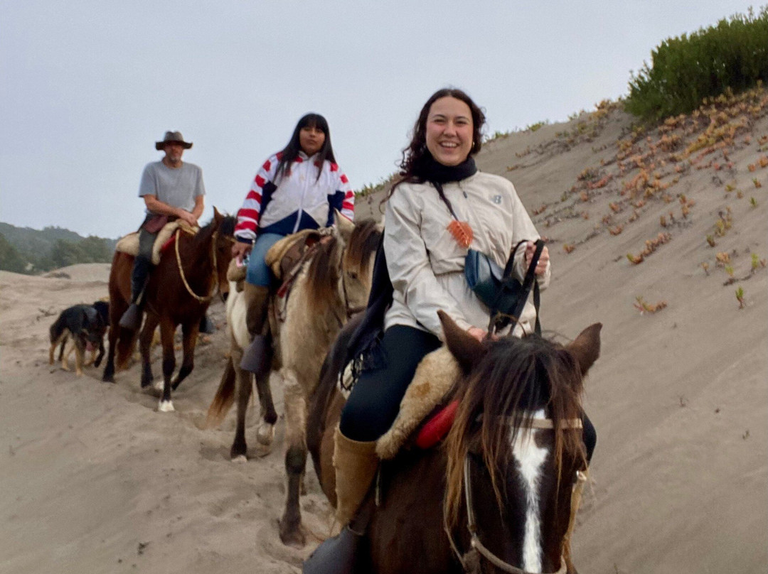 Ritoque Expeditions-Concon必去景点