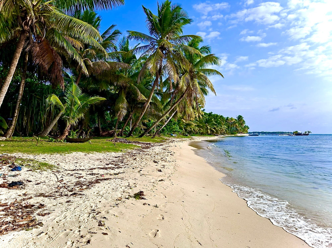 Madagascar Tropic Voyage-安齐拉贝必去景点