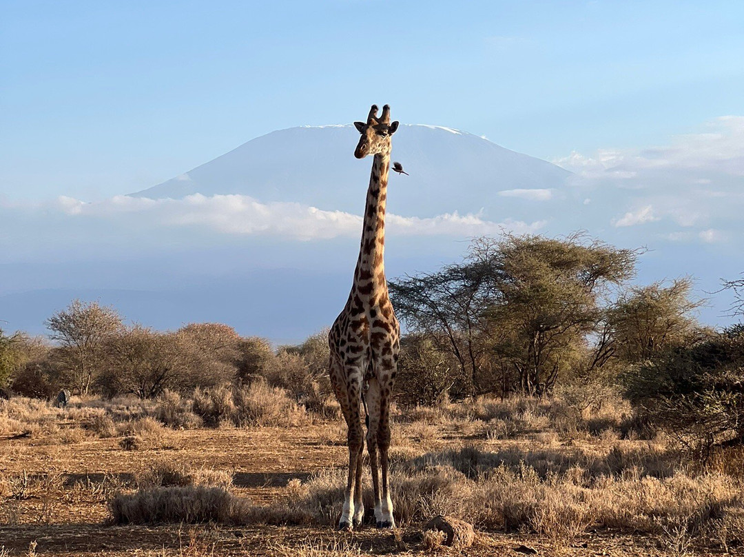 Gametrackers-Rongai必去景点