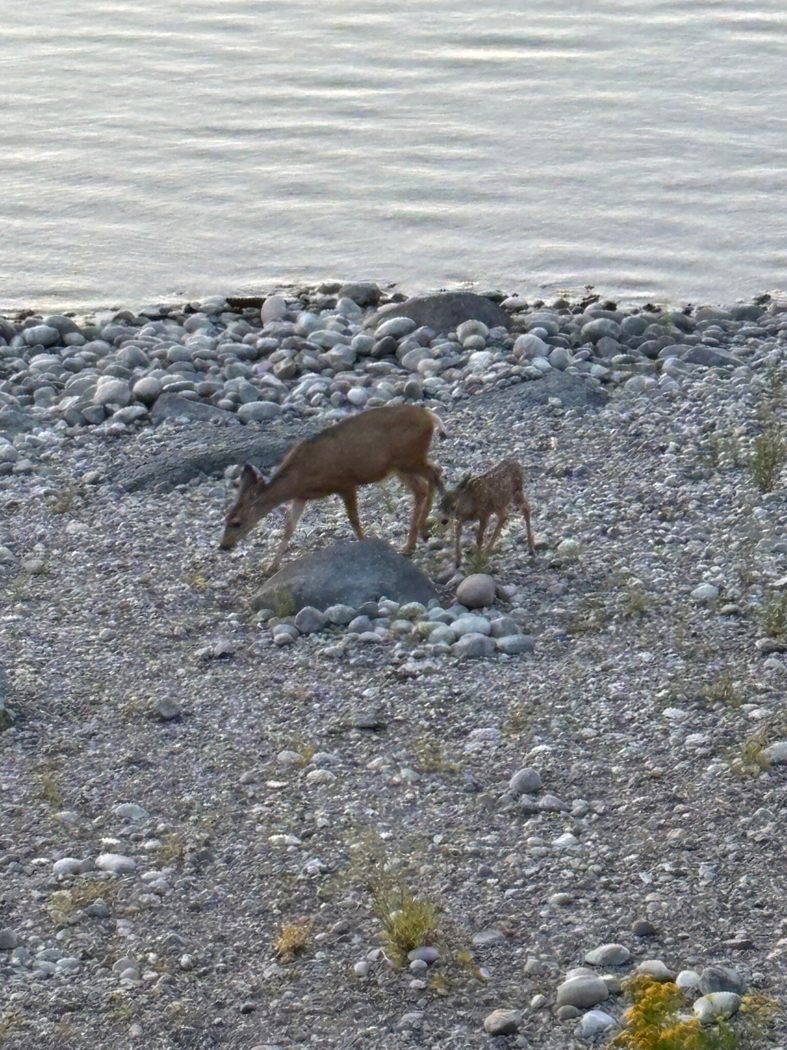 信号山旅馆-官方