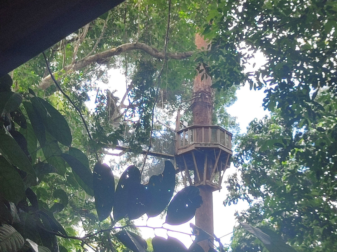 天蓬走道-亚庇必去景点