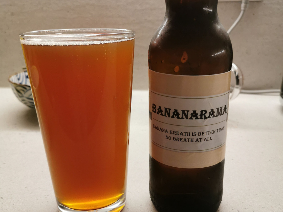 Stewart Brewing Experience-爱丁堡必去景点