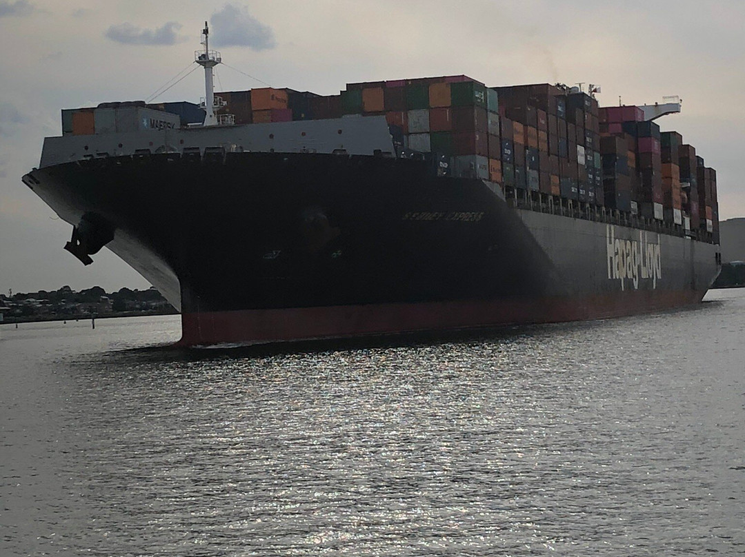 Port Phillip Ferries-墨尔本必去景点