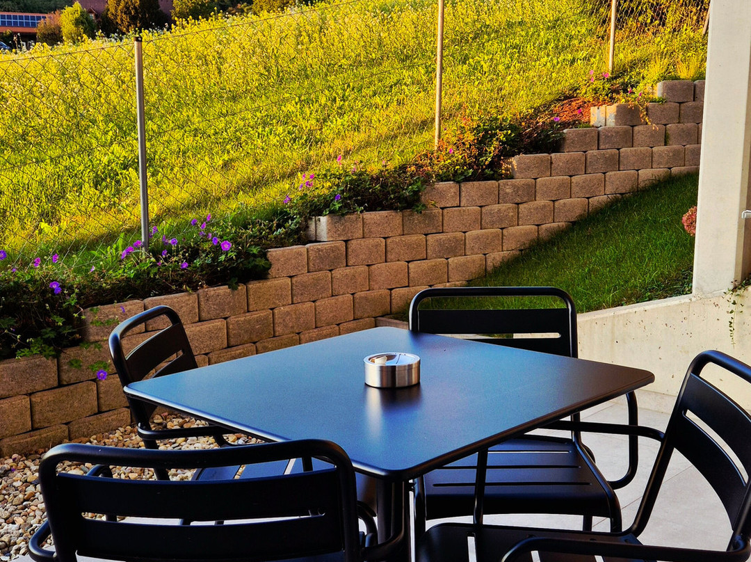 Landhaus Bad Gleichenberg主图