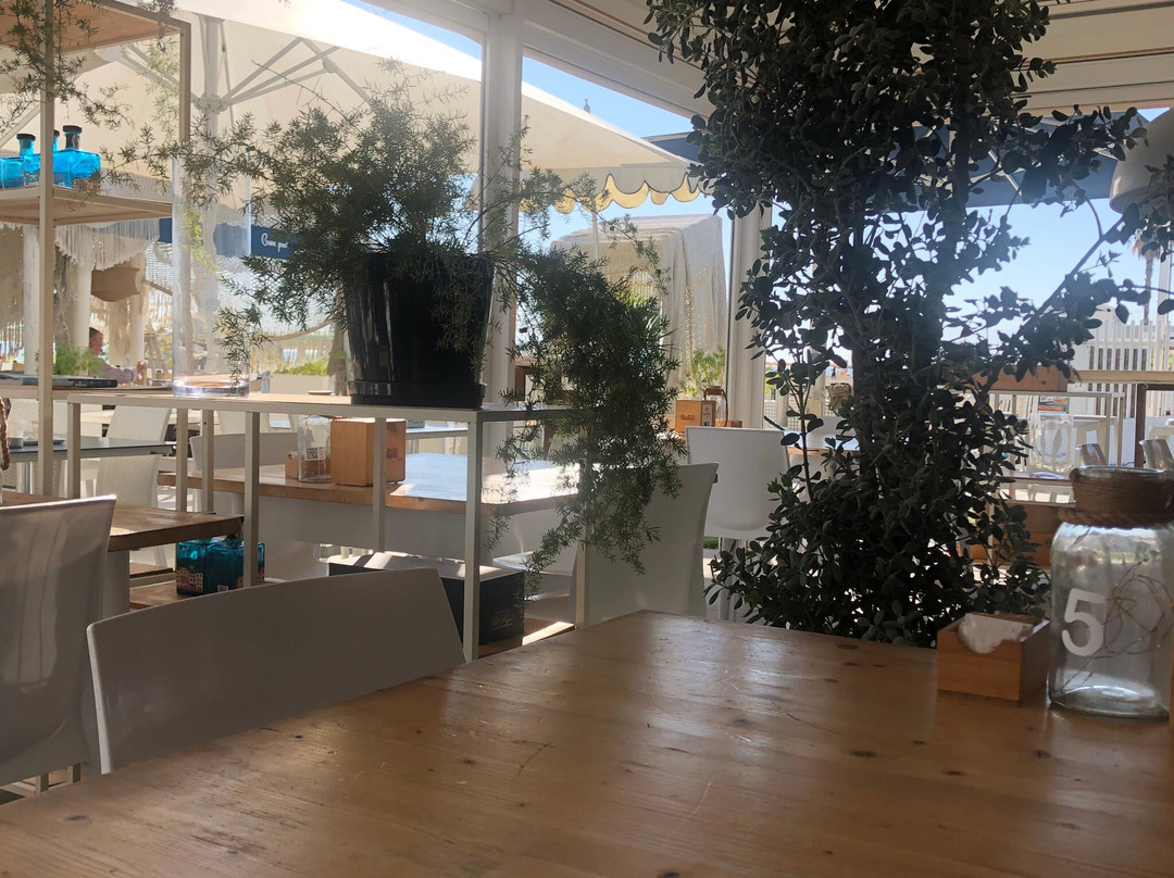 Bagno Oltremare-罗塞托德利亚布鲁齐必去景点