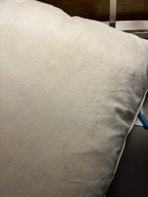 多伦多万锦丽柏酒店主图