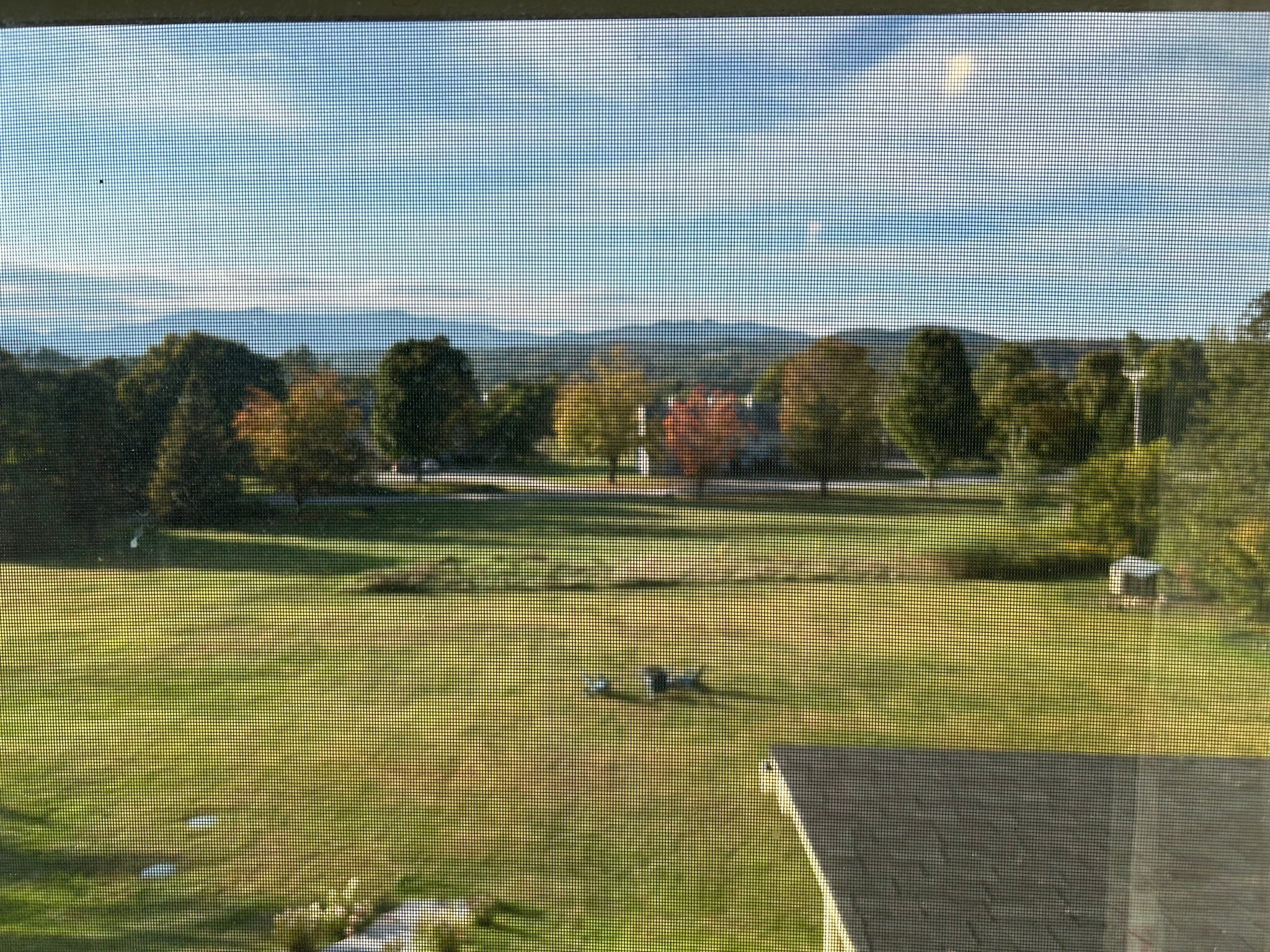 黄铜灯笼酒店-官方