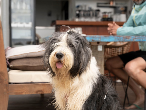 Fina Beach Club Cambrils