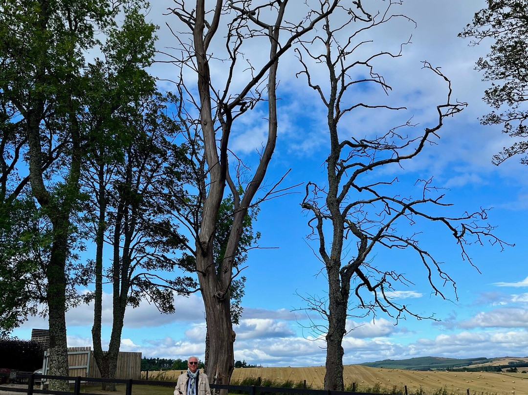 Speyside Cooperage-Craigellachie必去景点