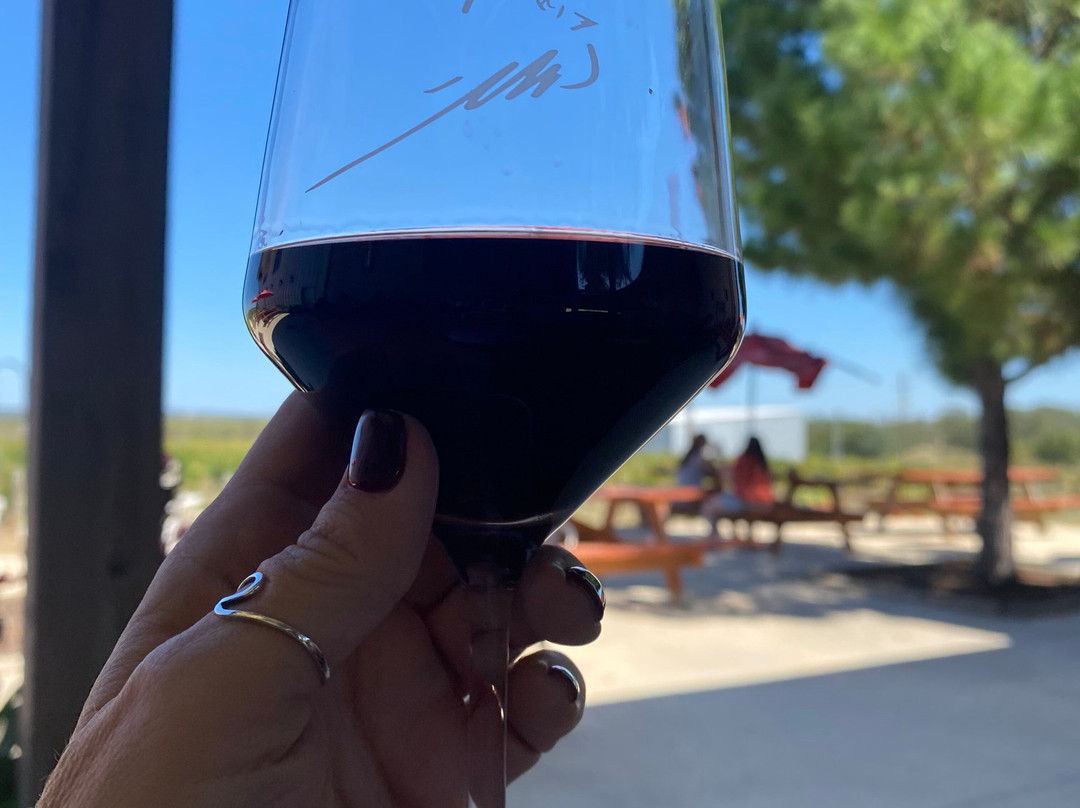 Hilmy Cellars-弗雷德里克斯堡必去景点