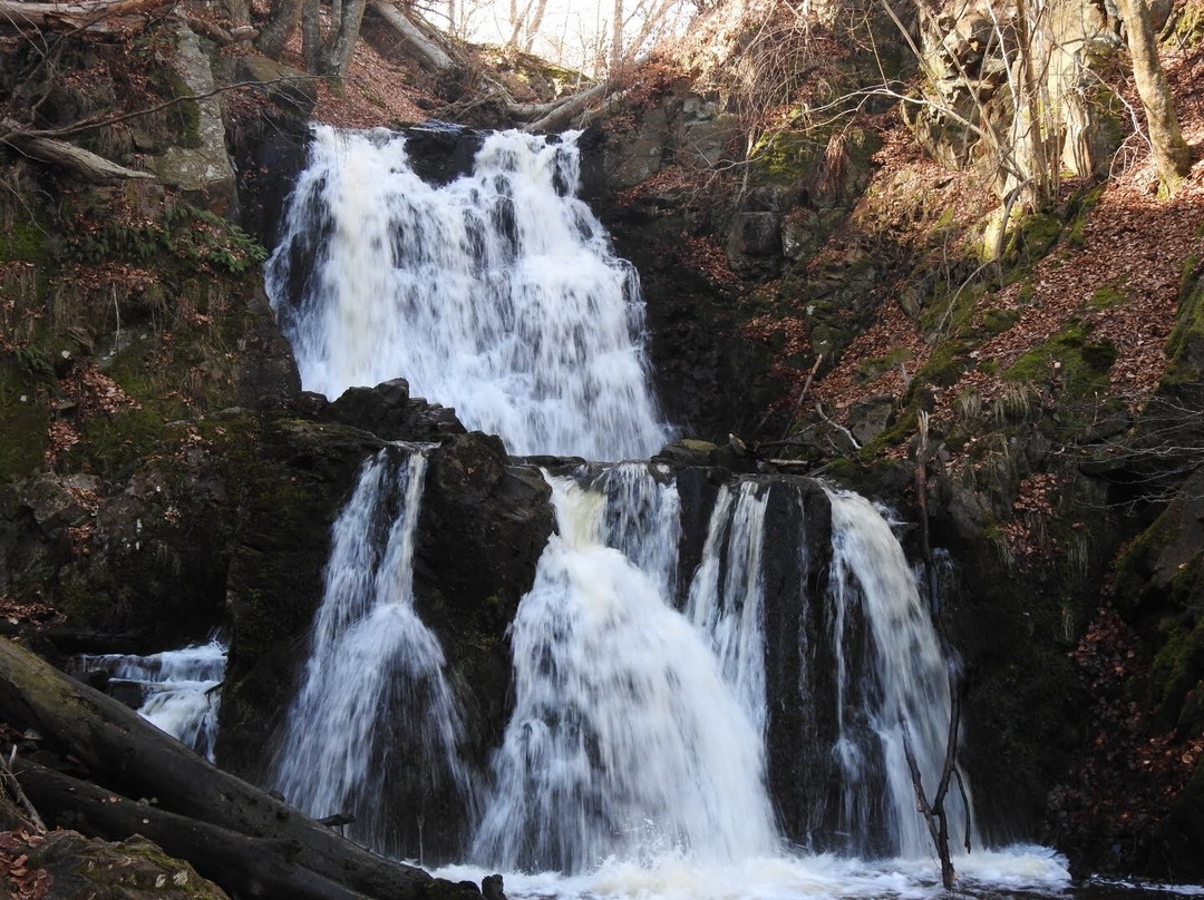 Forsakar Nature Reserve-Degeberga必去景点