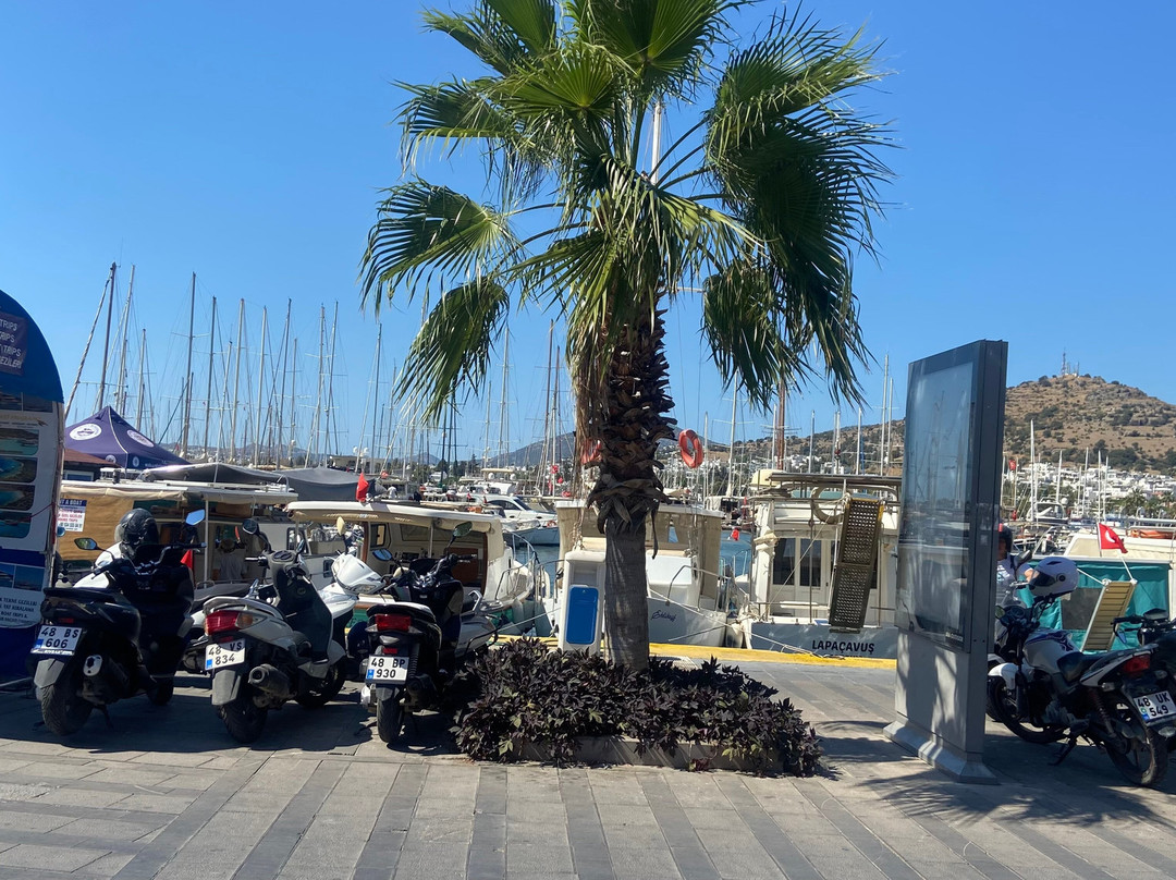 Kos4all Tours-Kós必去景点