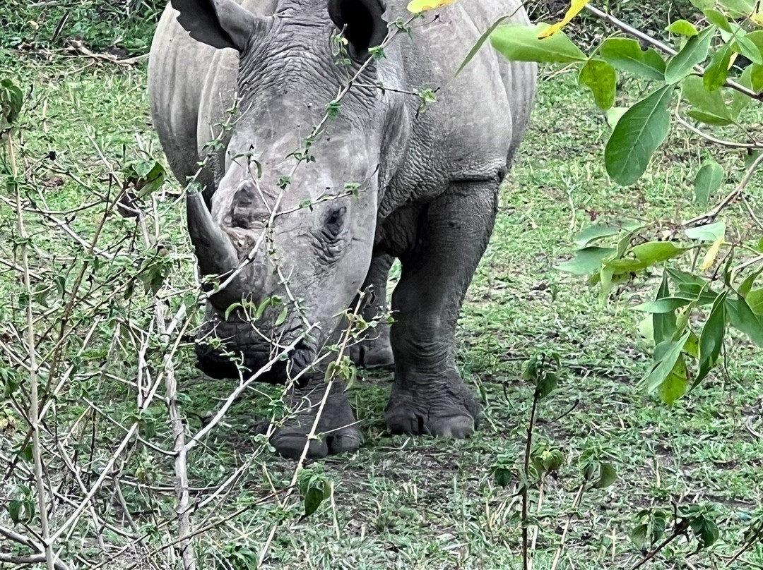 Kingfisher Journeys-吉佳利必去景点