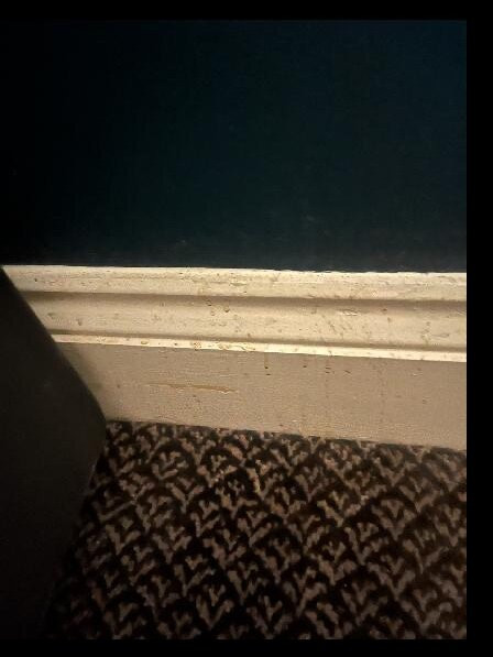 Toby Carvery Strathclyde, M74 J6 by Innkeeper's Collection主图