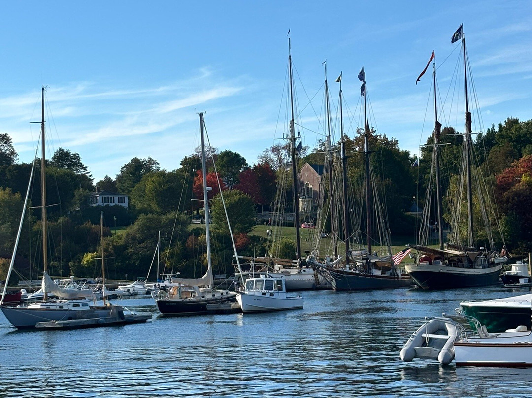 Belfast Harborwalk-贝尔法斯特必去景点