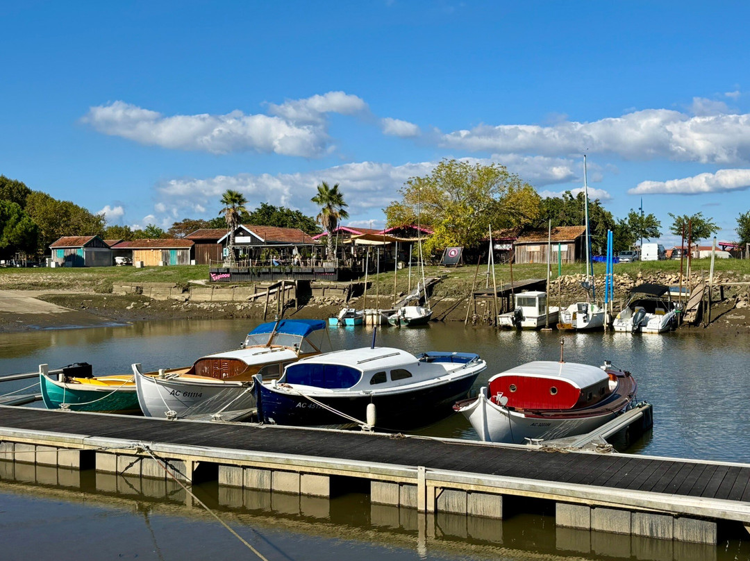 La Cabane Le Tapioou Direct Producteur