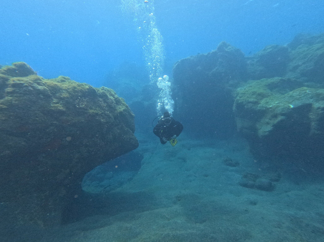 Buceo Isla Bonita-La Palma必去景点