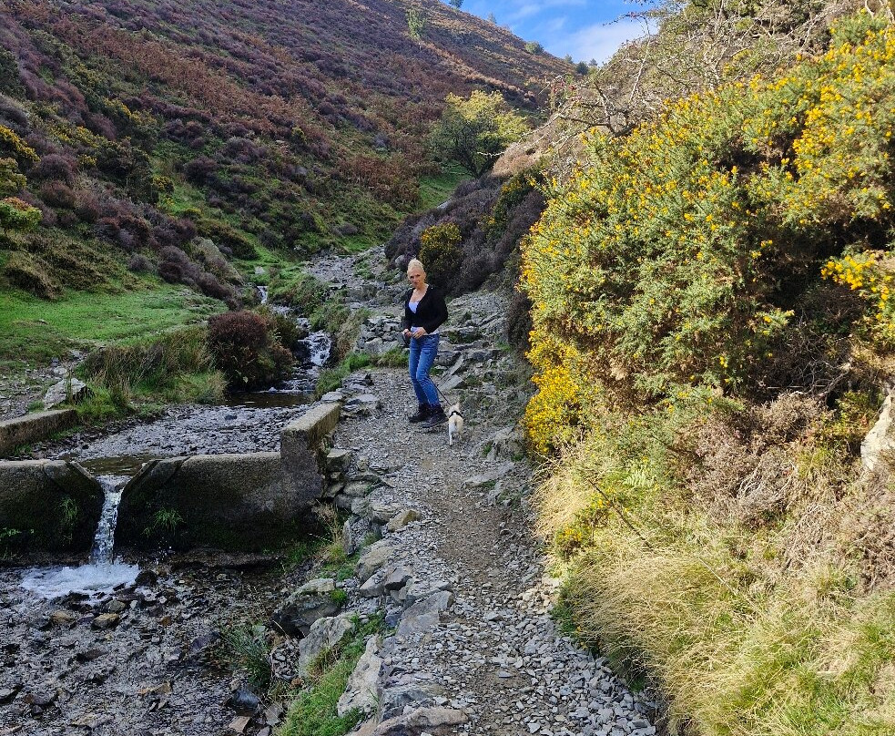 Carding Mill Valley-Church Stretton必去景点