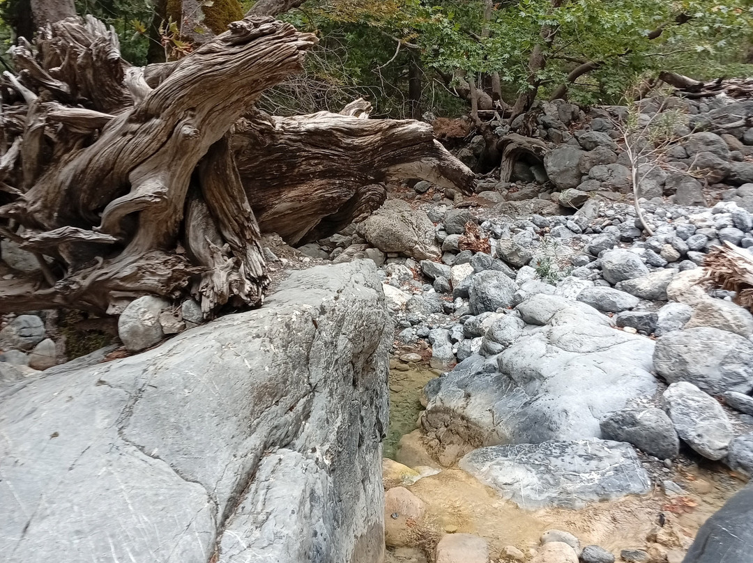 Elafonissos travel-干尼亚必去景点