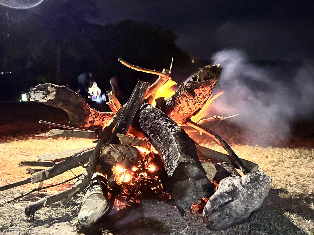 Lagartos Ecoadventure-Barra de Sao Miguel必去景点