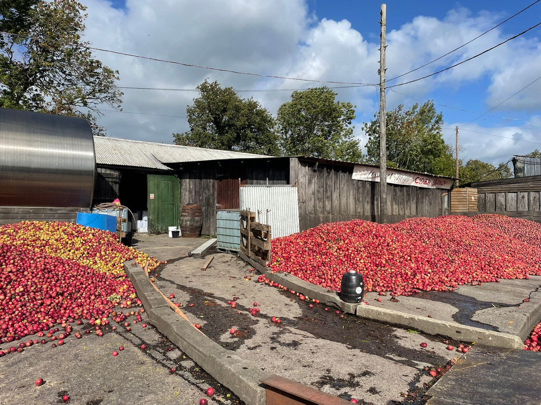 Somerset Cider Brandy Company-Martock必去景点