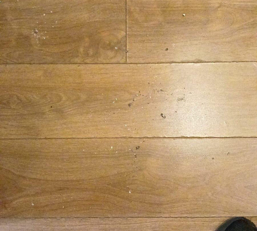 Royal Chambers主图