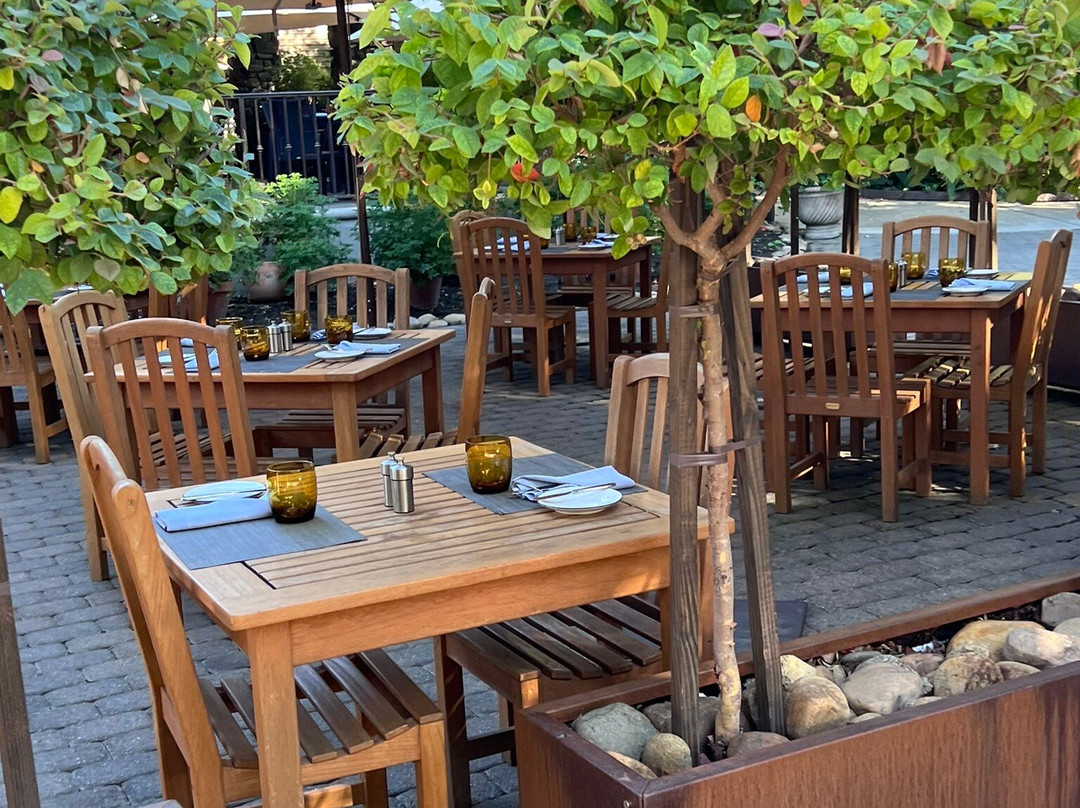 Appellation Lodi - Wine & Roses Resort And Spa主图