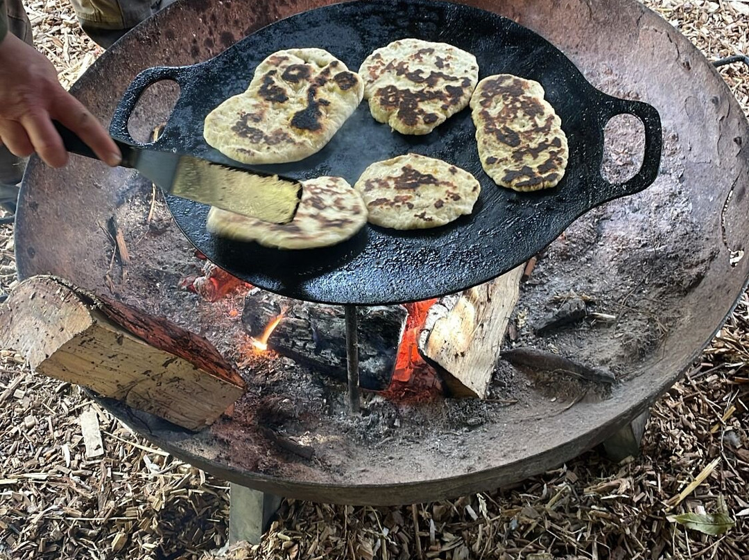 Wild Bushcraft Company-Corwen必去景点