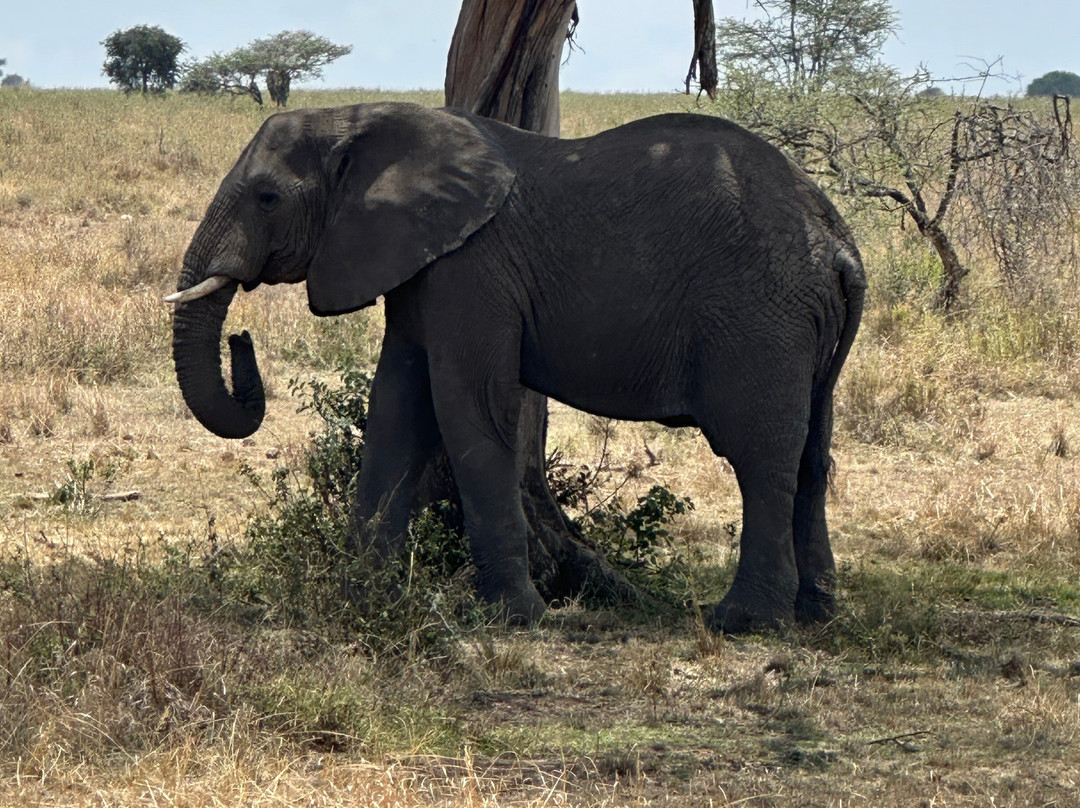 Muhi Tours And Safaris-Mbuzini必去景点