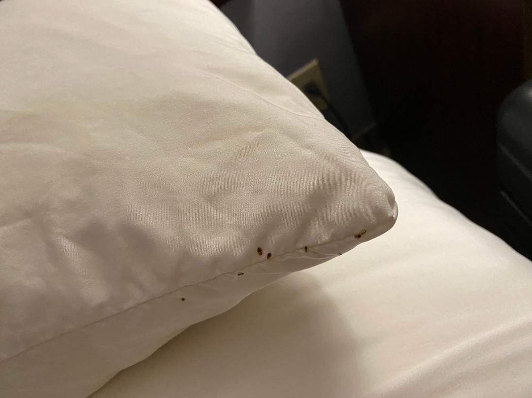 Quality Inn Colchester Burlington主图