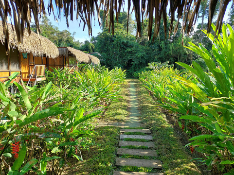 Vida Tours Ecuador-基多必去景点
