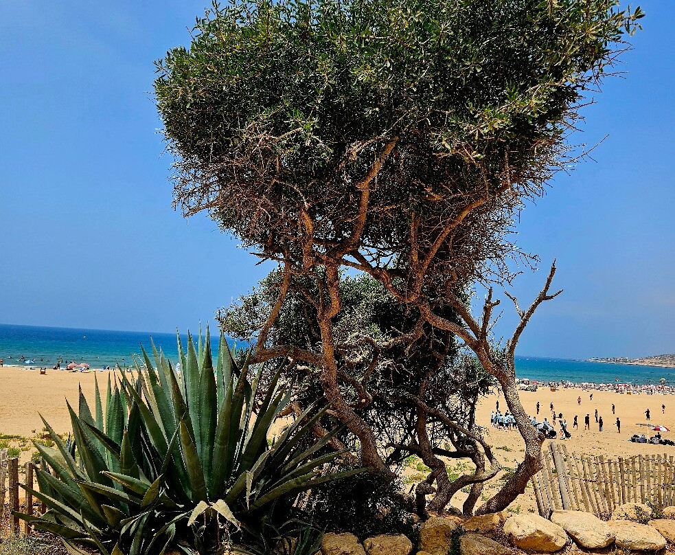 Taghazout Beach-Taghazout必去景点