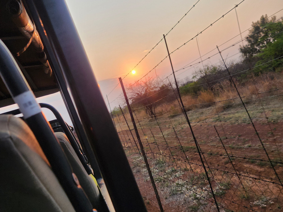 Mela Luxury Game Lodge主图