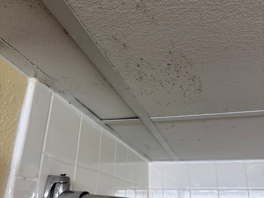 SureStay by Best Western Charlotte Matthews主图