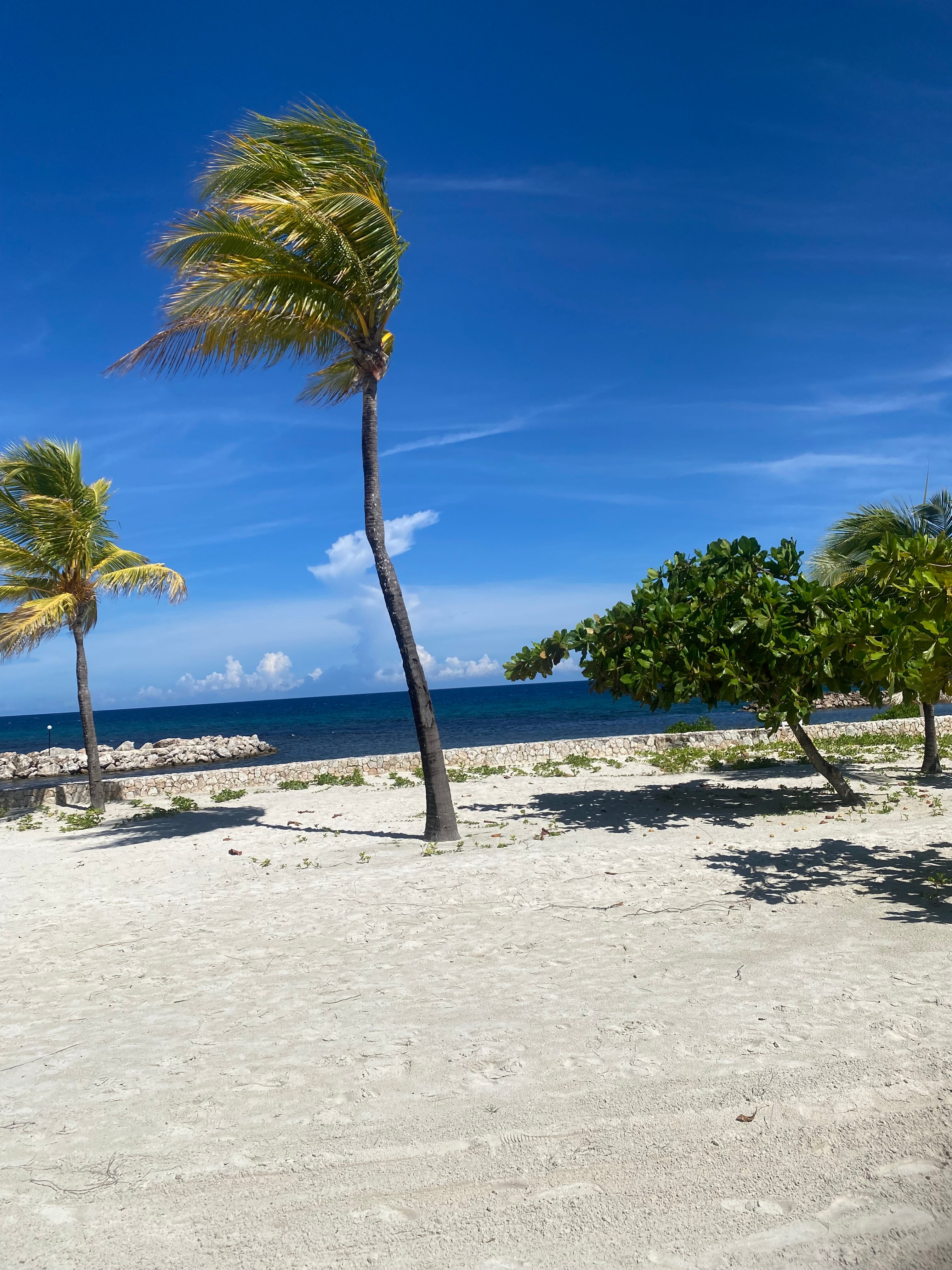 Bahia Principe Luxury Runaway Bay-官方