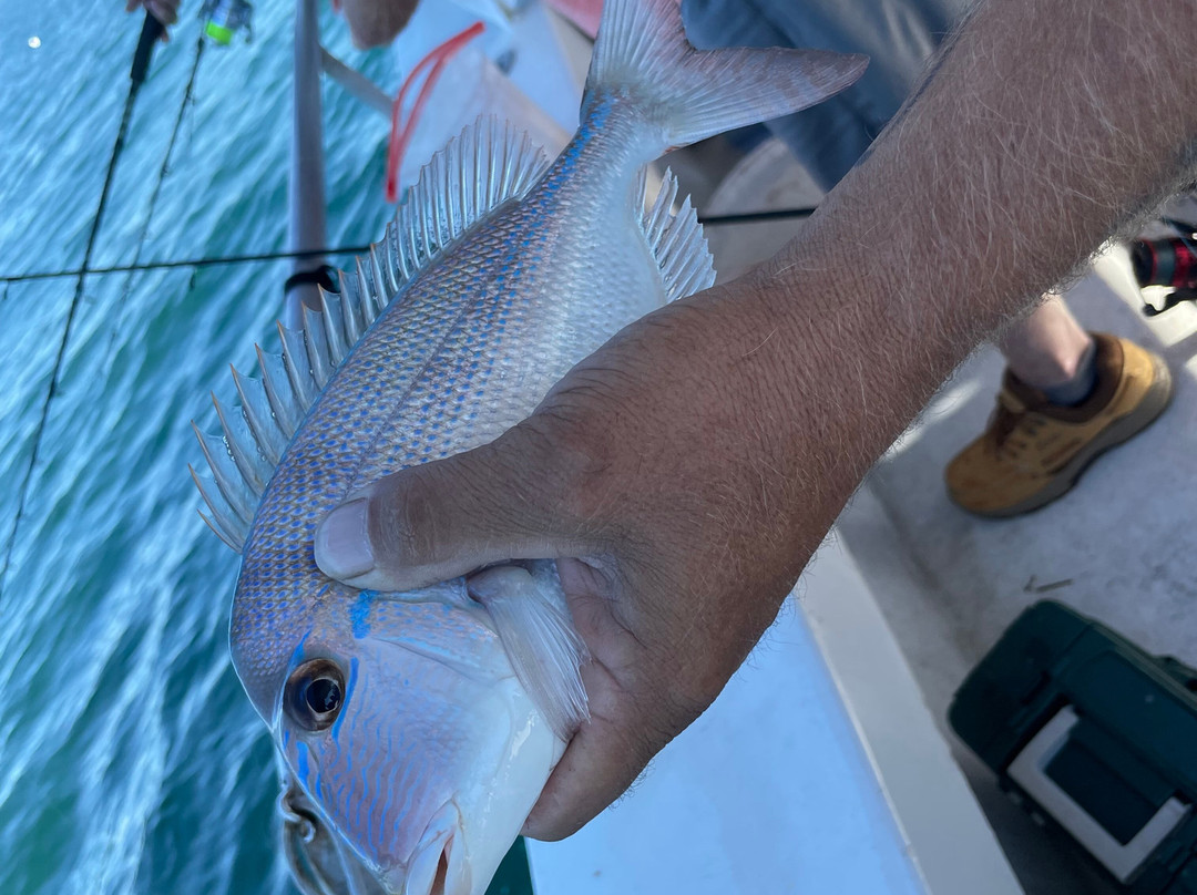 Thunder Party Boat-Hernando Beach必去景点